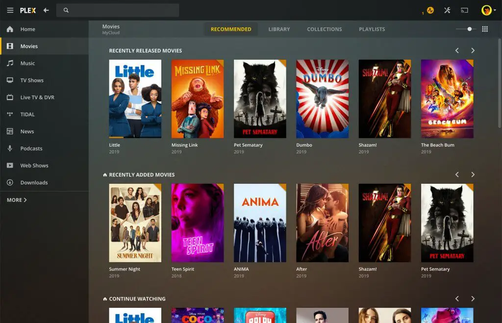 What is Plex and how does it work?