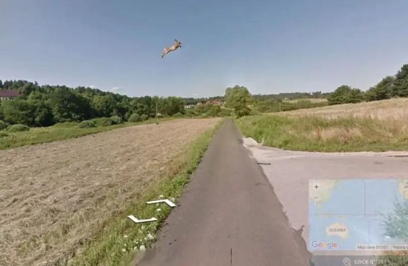 A hare is found flying on Google Maps, but you won't like the reason why
