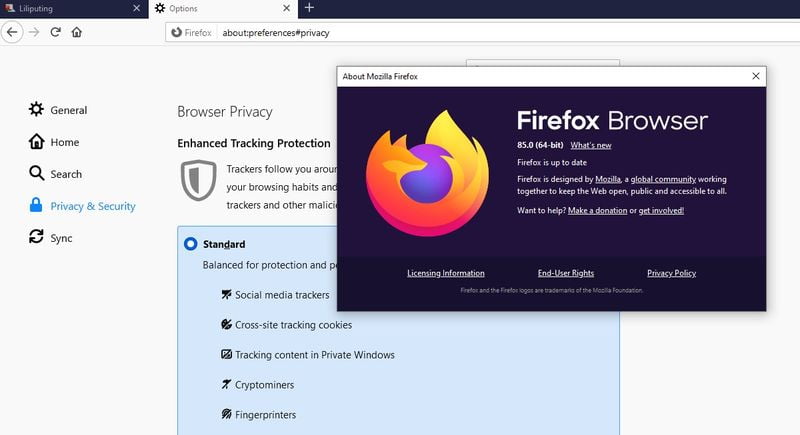 Firefox 85 removes Adobe Flash and protects against supercookies