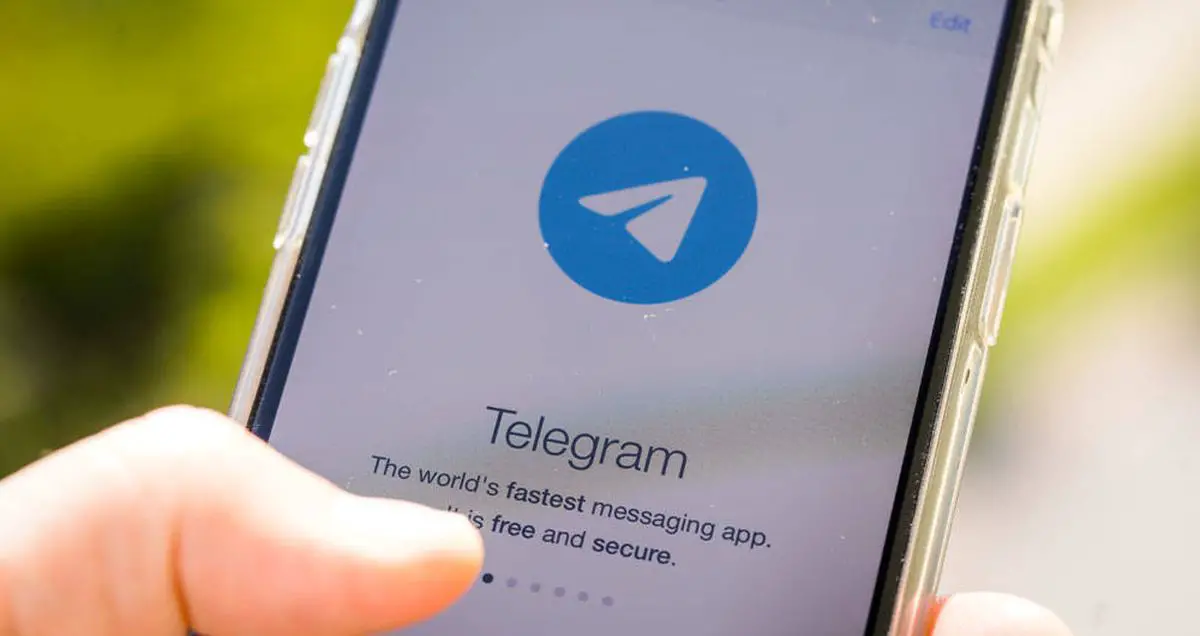 Telegram 및 Signal은 WhatsApp의 개인 정보 변경 사항을 파악합니다.