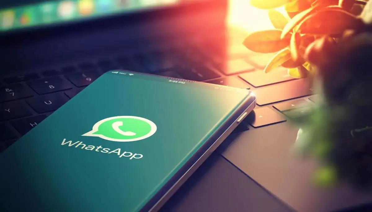 How to search for messages on WhatsApp?