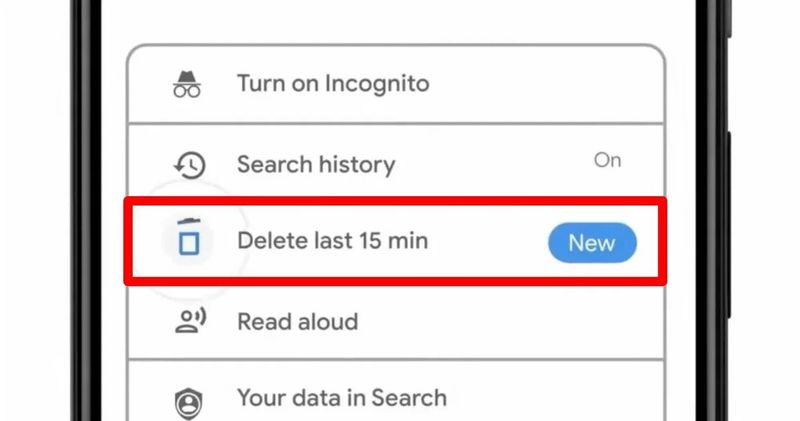 How to use Google's express delete browsing history feature?