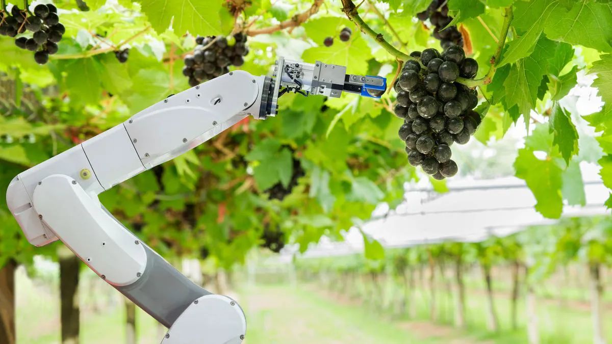 This Is The First Fully Automated Farm With Robots And Artificial