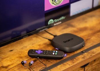 How to find the Roku IP address?