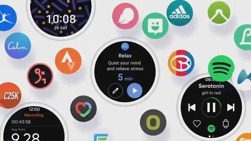 Wear OS will support other digital assistants