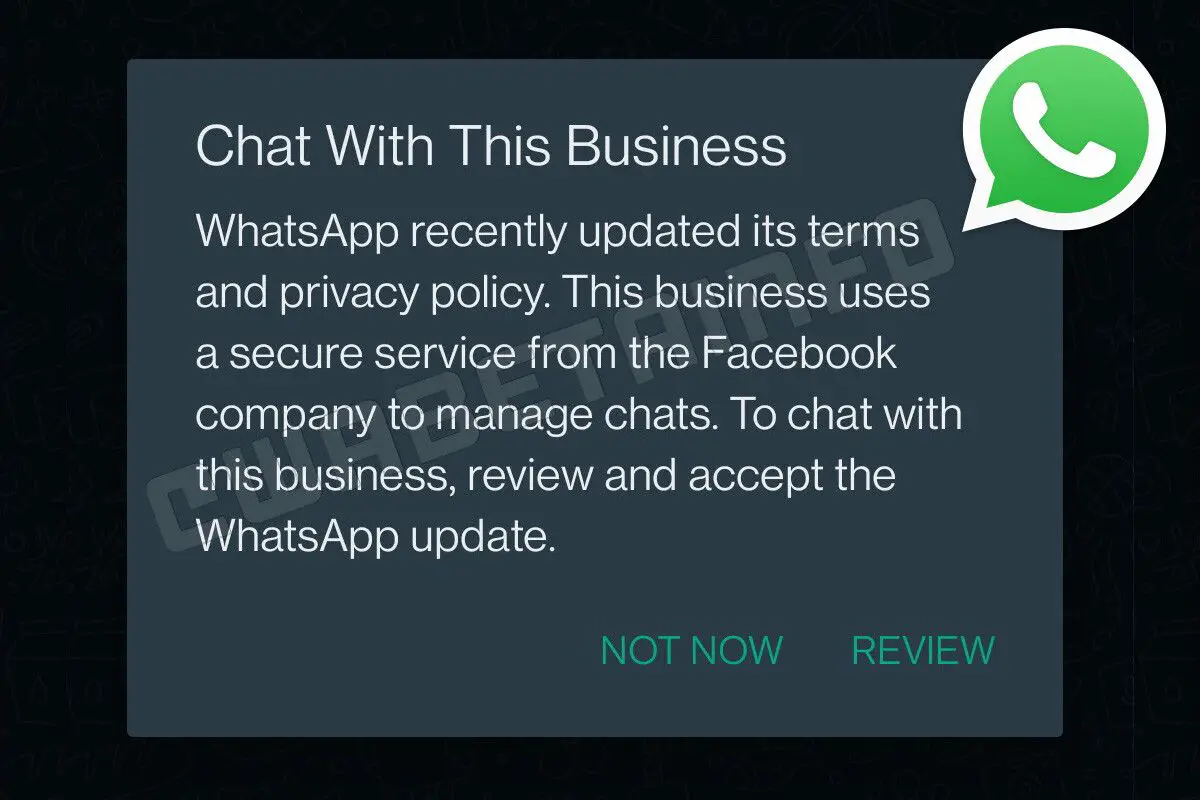 WhatsApp privacy changes will finally be optional, says WaBetaInfo