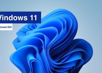 You can now upgrade to Windows 11 via ISO: Microsoft releases Build 22000.132