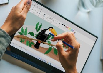 Redesigned Paint app for Windows 11 is now available for Insiders