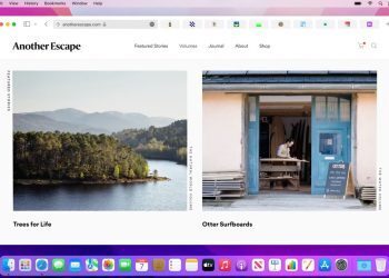 How to create and manage tab groups in Safari 15 for macOS?