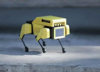 Inspired by Boston Dynamics robot: Mini Pupper