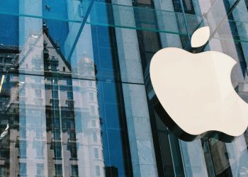 How did Apple profit from privacy?