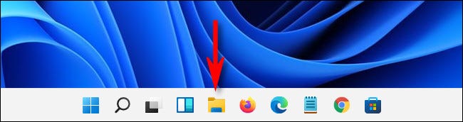 How to show hidden files on Windows 11?