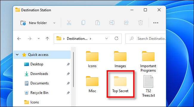 How to show hidden files on Windows 11?