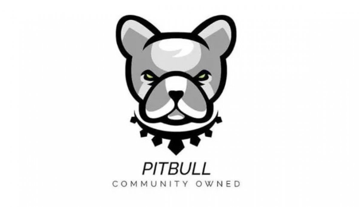What is Pitbull (PIT) coin?