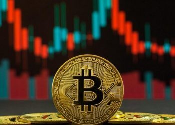 Will Bitcoin really go up next?