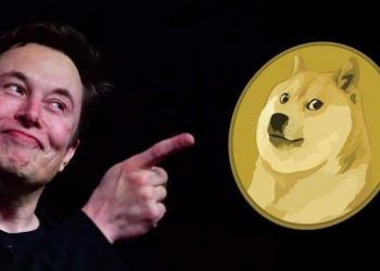 Tesla is preparing to accept DOGE for sales