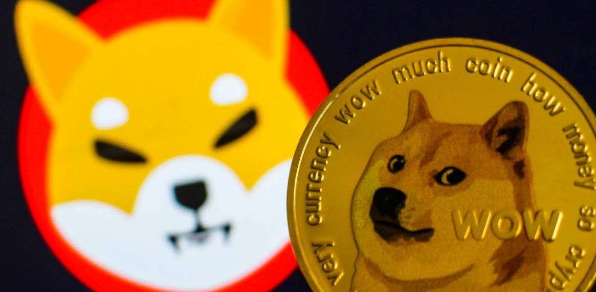 Dogecoin, Shiba Inu, NFTs and DAOs: 2021 was the year of crypto