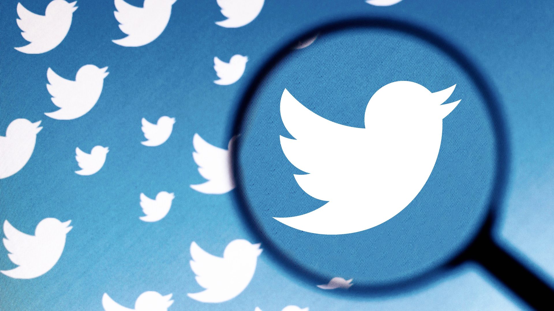 Twitter-CEO Parag Agrawal priorisiert die Verbesserung der Ausführung des Unternehmens
