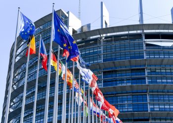European Parliament approves proposal to ban targeted advertising