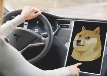 Dogecoin price rises as Tesla starts accepting DOGE for some merchandise