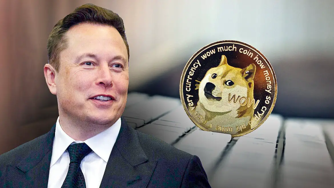 Dogecoin price rises as Tesla starts accepting DOGE for some merchandise