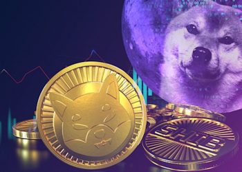 Can Bitgert Bridge give new life to Shiba Inu?