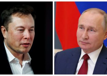 Elon Musk challenges Vladimir Putin into single combat for Ukraine