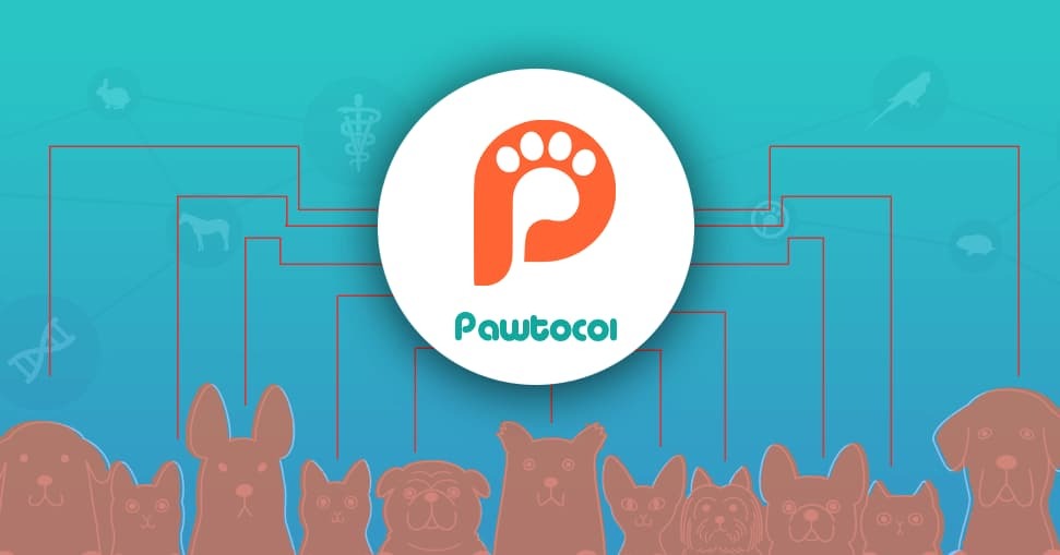 What is Pawtocol cryptocurrency and where to buy it?