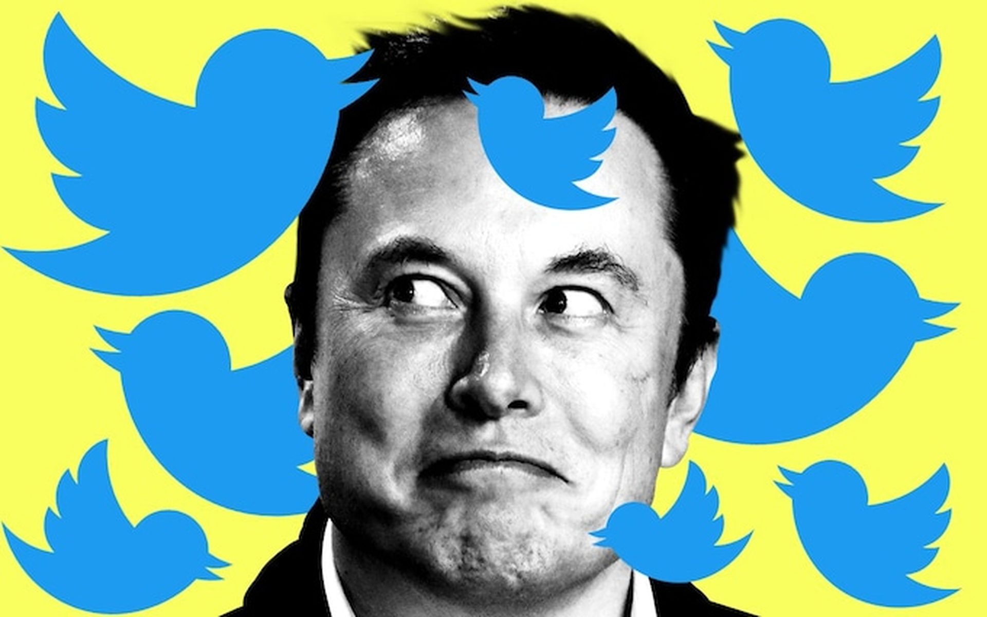 Elon Musks Twitter-Angebot beunruhigt Datenschutzexperten