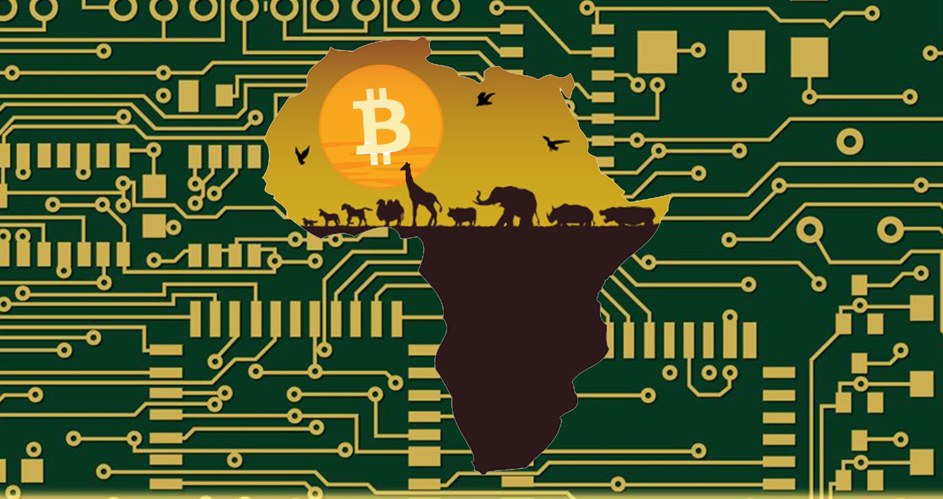 Republika Środkowoafrykańska akceptuje Bitcoin jako prawny środek płatniczy
