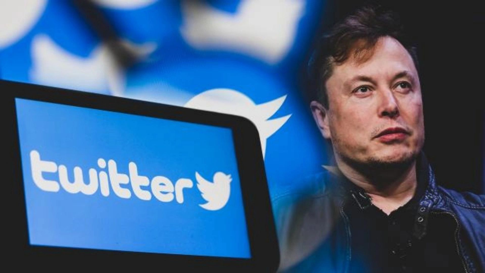 Dzisiaj porozmawiamy o tym, jak umowa Twittera Elona Muska wpłynie na rynki kryptowalut i jakie znaczące zmiany zostaną wprowadzone na platformie mediów społecznościowych.
