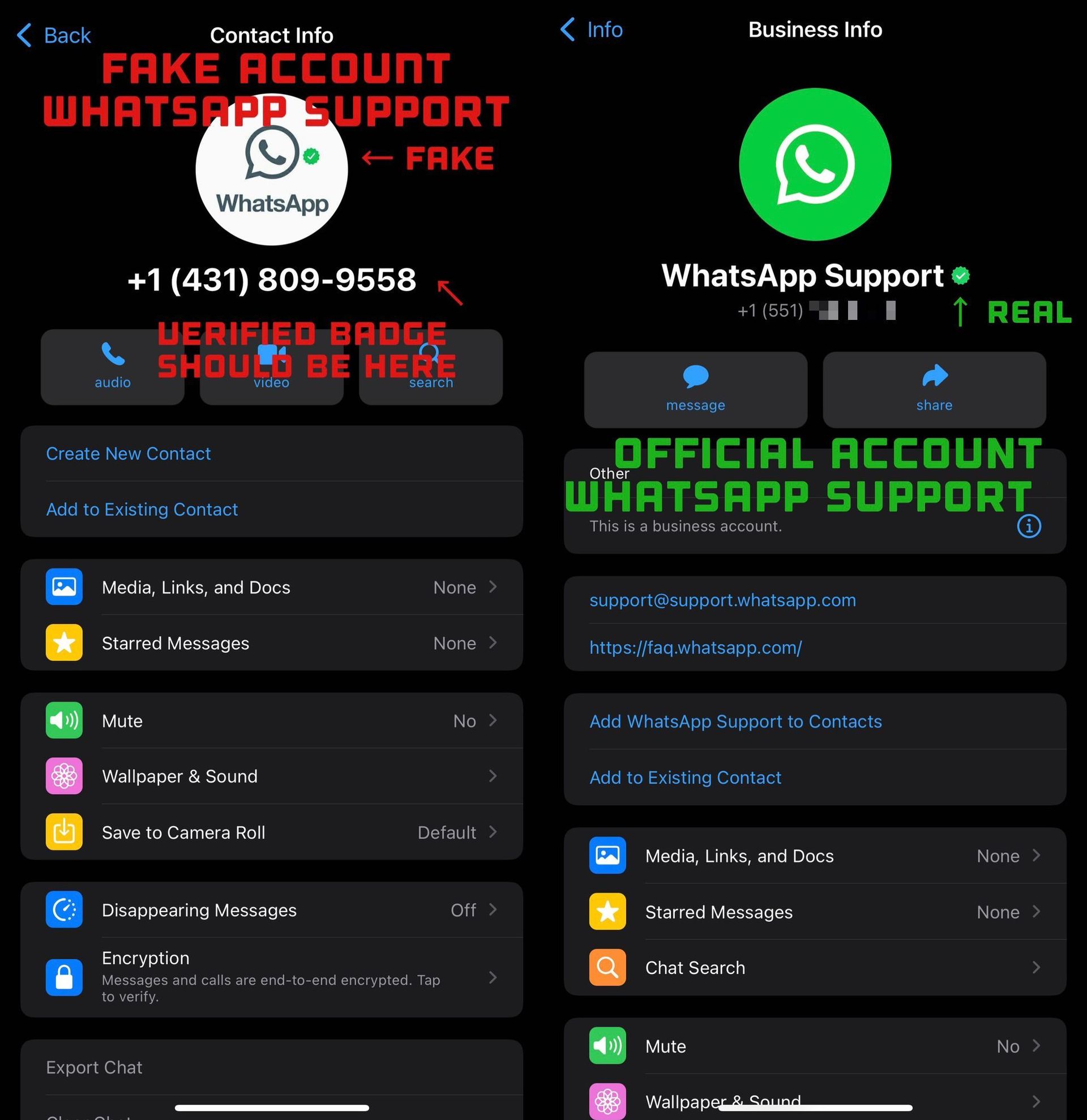 Heute werden wir Ihnen sagen, wie Sie WhatsApp-Betrug vermeiden können.  Benutzer von WhatsApp werden vor Betrügern gewarnt, die behaupten, die offizielle Support-Crew der Chat-App zu sein.