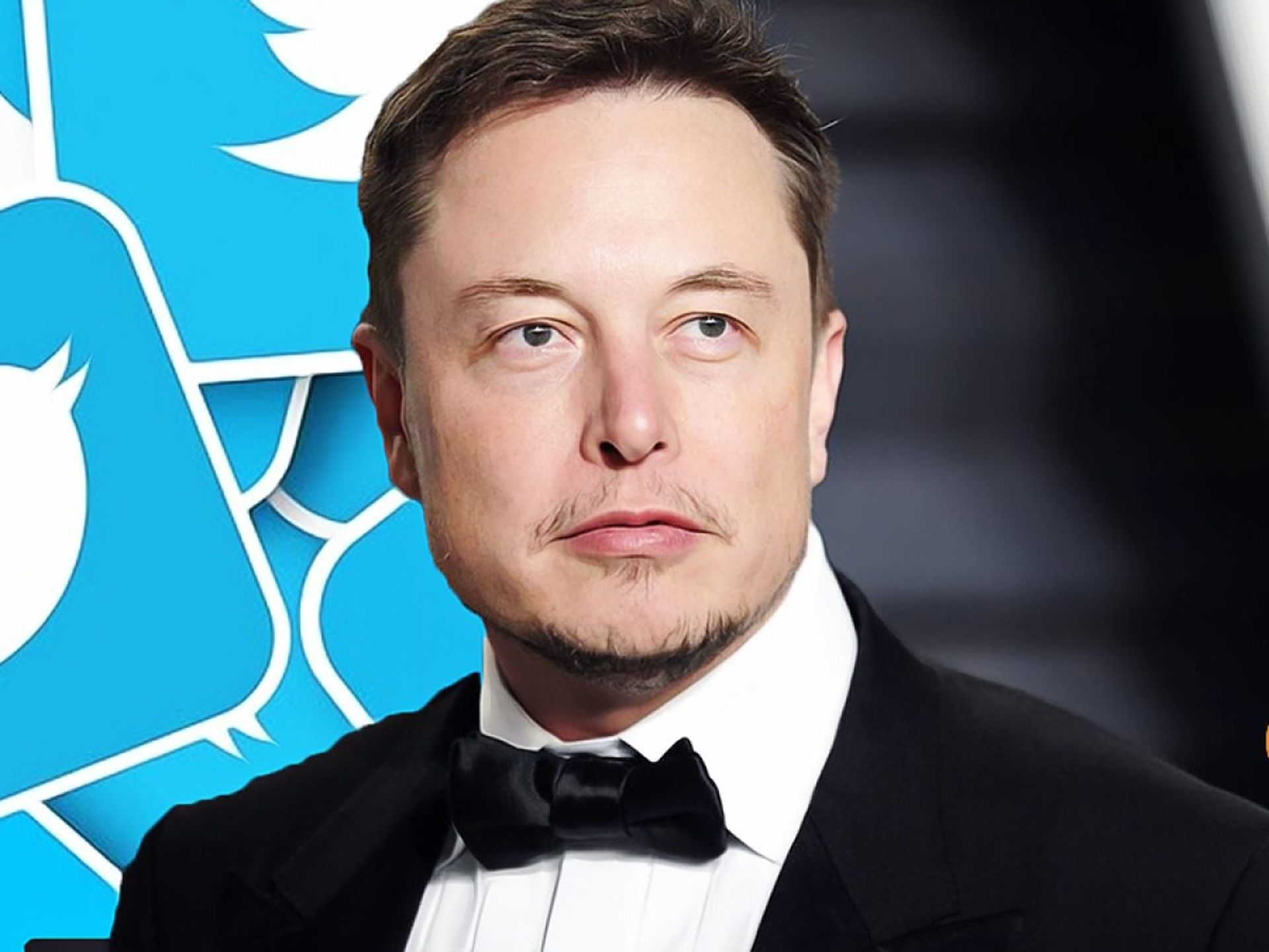 Il y a des rumeurs suggérant que Twitter a été vendu à Elon Musk, creusons dans les détails.
