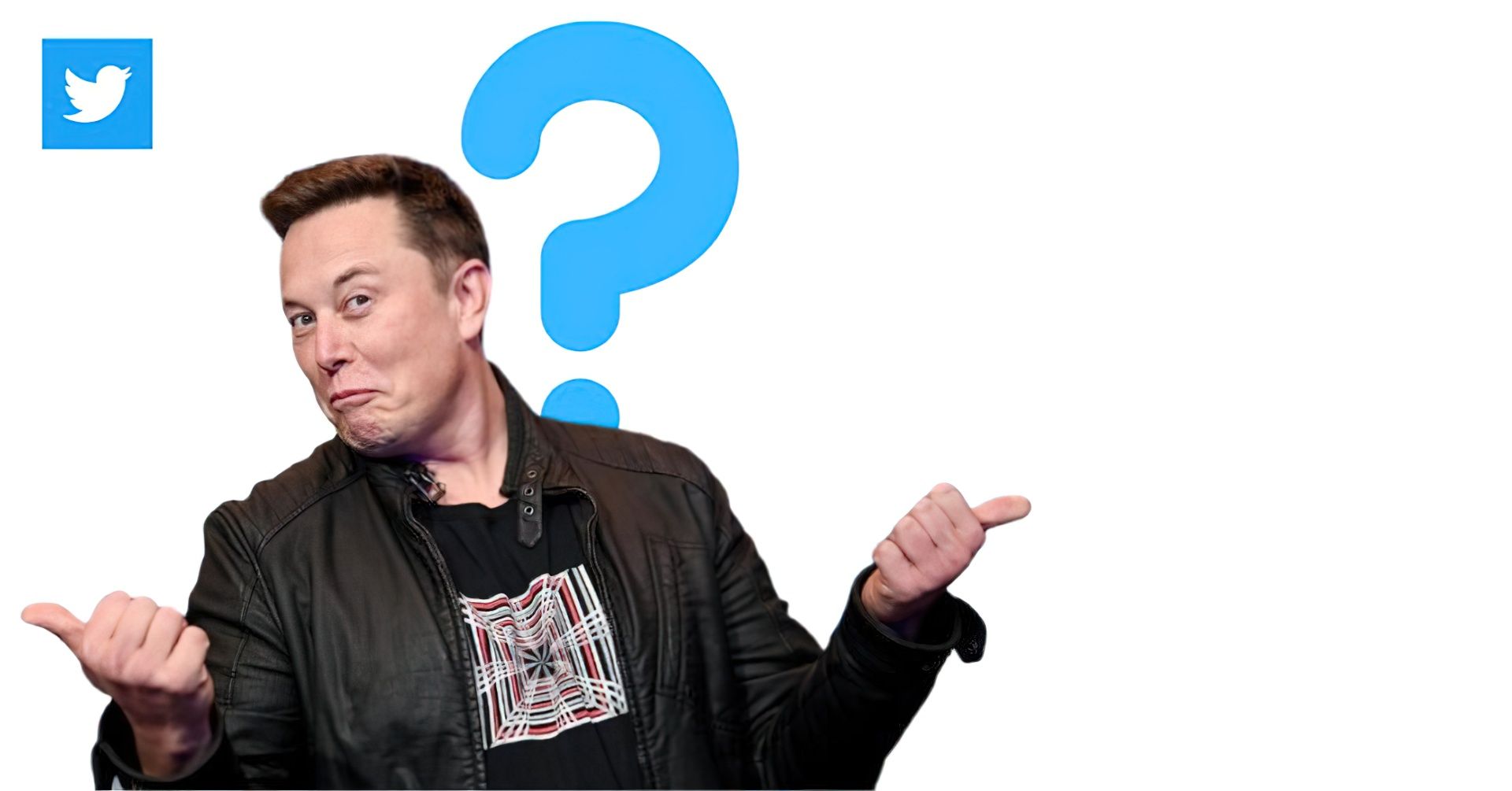 Waarom kocht Elon Musk Twitter?