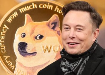 Elon Musk considers Dogecoin payment for Twitter Blue