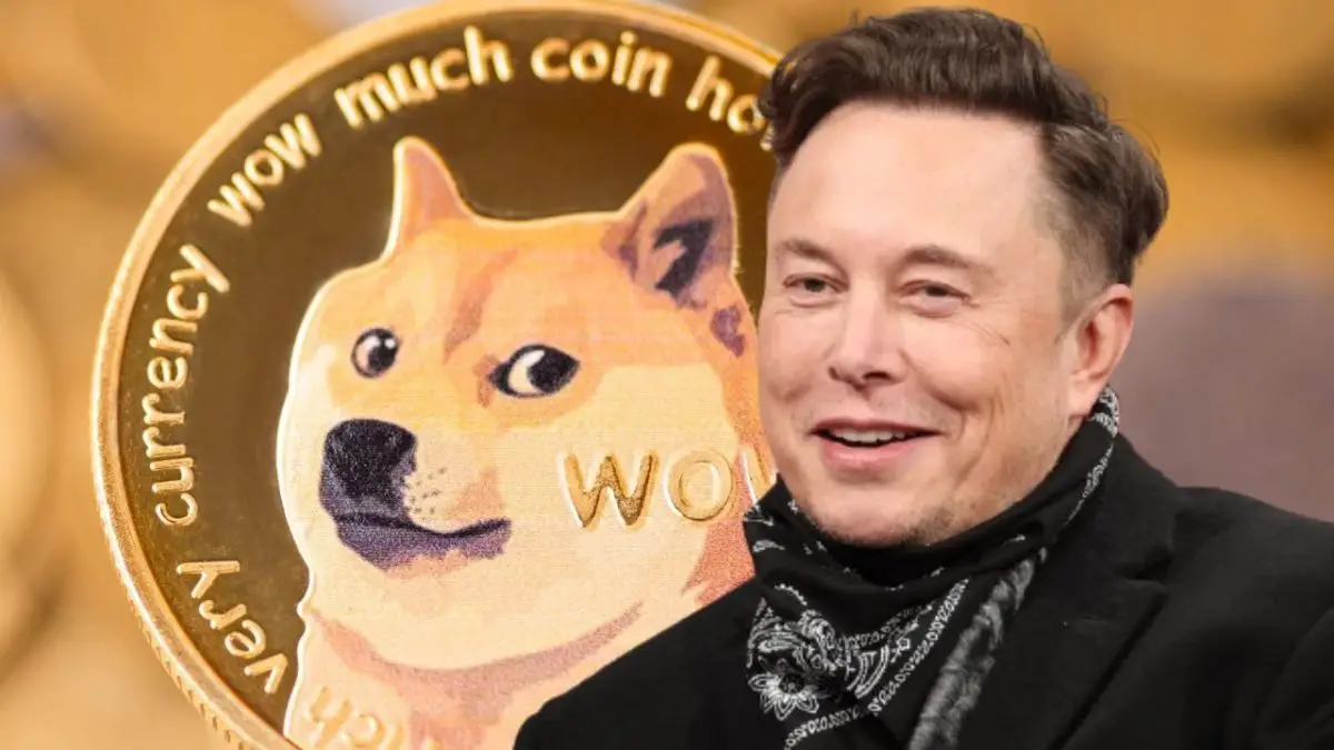 Elon Musk considera il pagamento Dogecoin per Twitter Blue