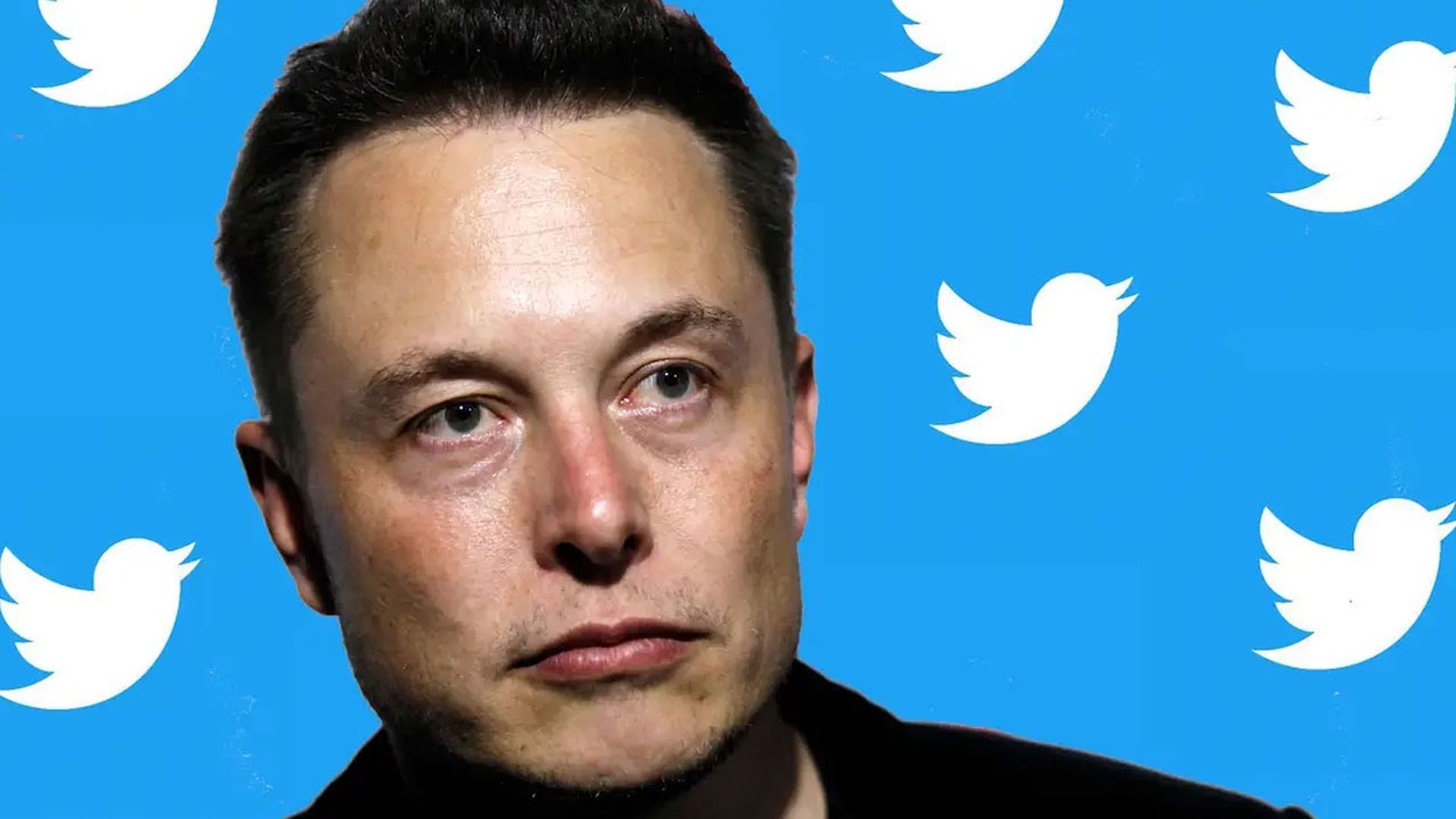 Rupture : Elon Musk rachète Twitter