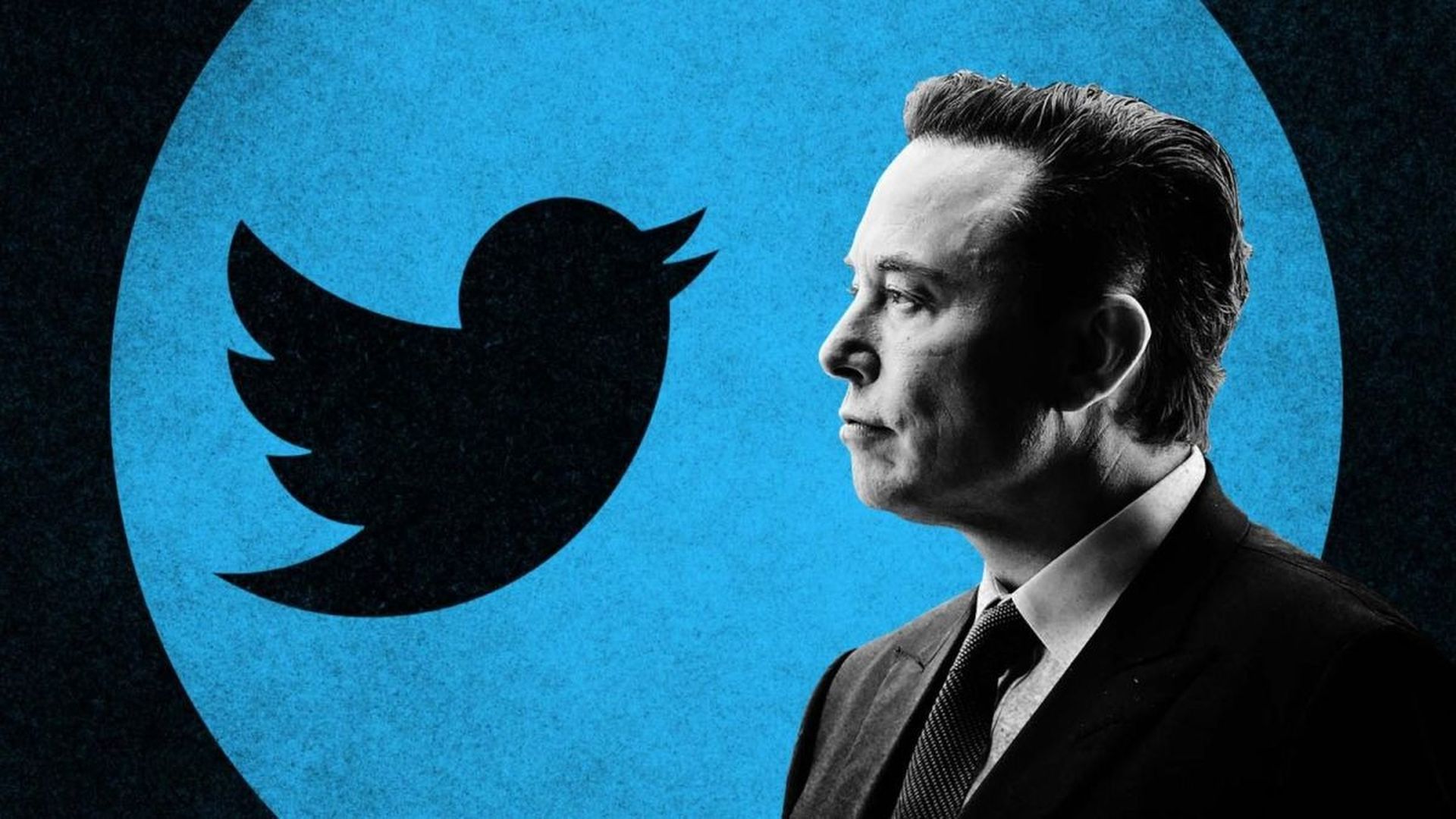 As the Elon Musk Twitter deal was on its way to finalizing, a new bump on the road showed up the road in the form of the number of spam and bot accounts.