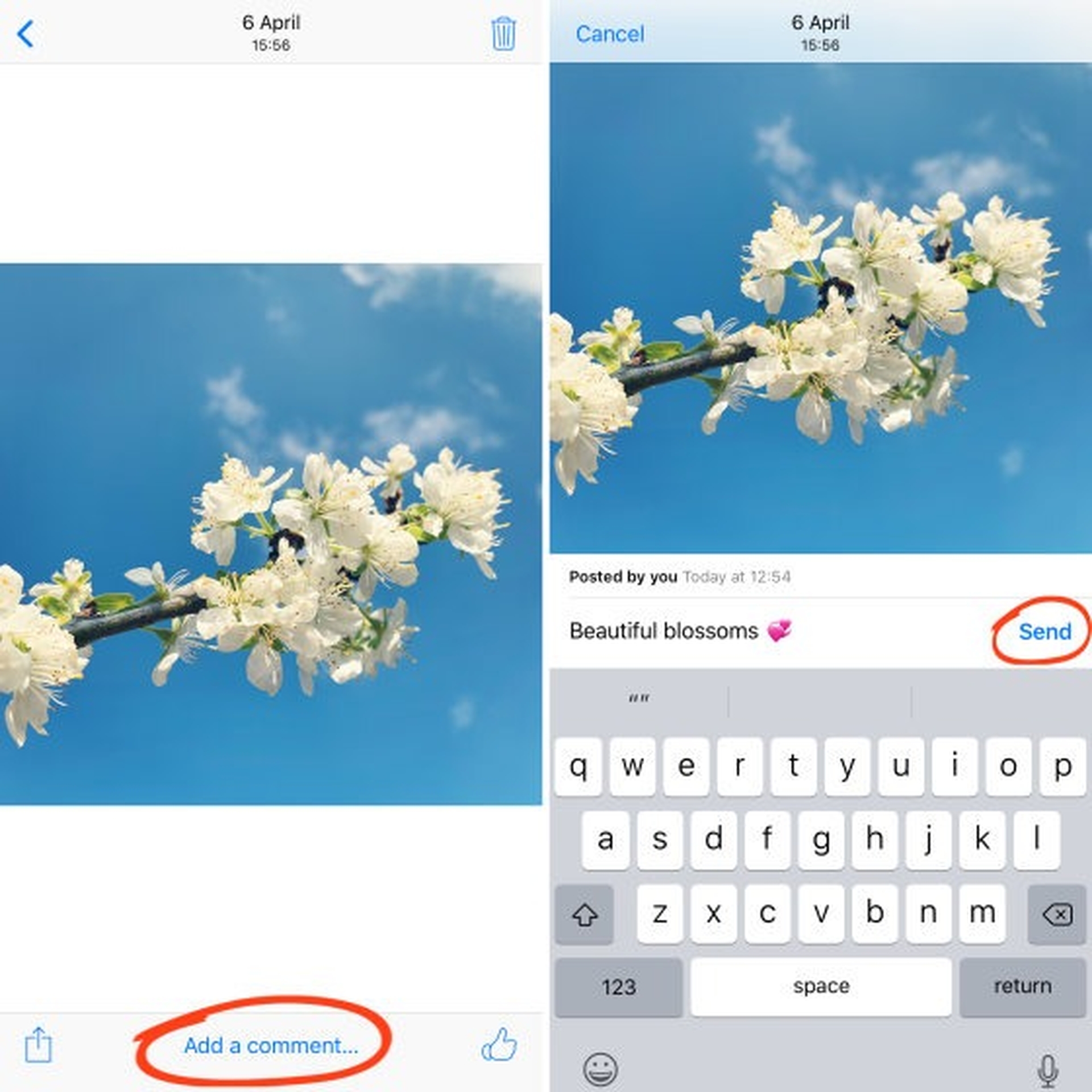 In this article, we are going to tell you how to comment on shared photo albums on iPhone, which is a built-in feature that not many knows about.