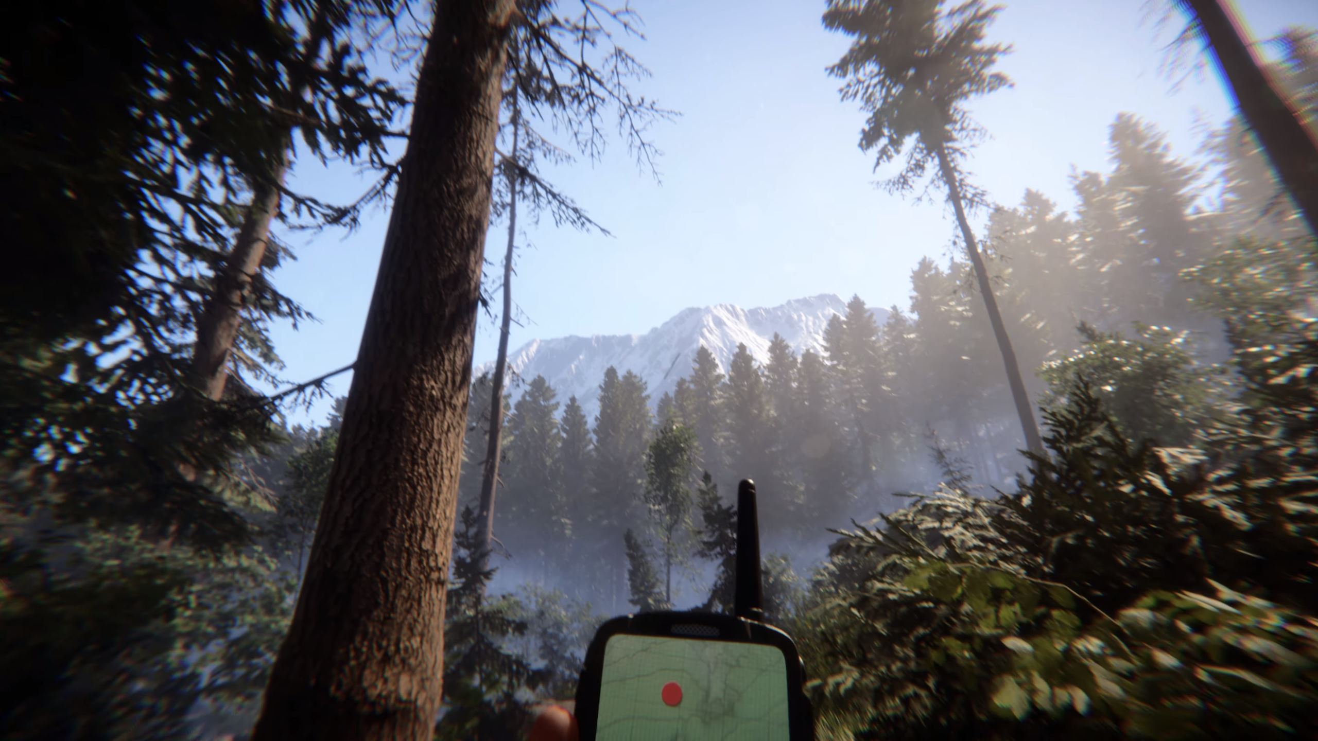 Sons of the Forest (Forest 2): Alle Gerüchte und Leaks bisher