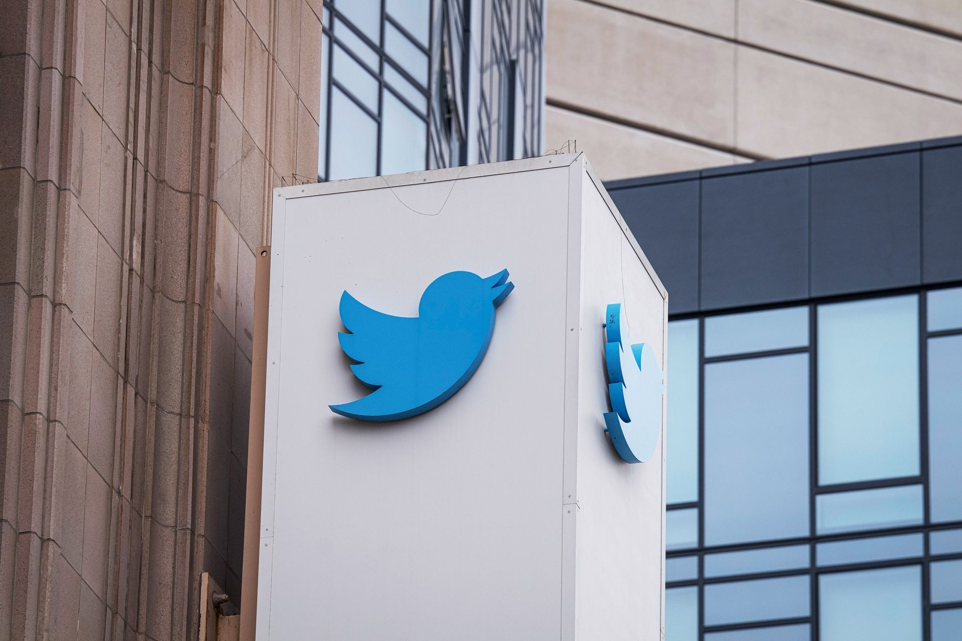 Twitter-troongevecht: CEO ontslaat 2 executives, stopt met aannemen