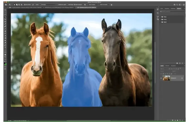 Adobe Photoshop бесплатно: функции, дата выпуска