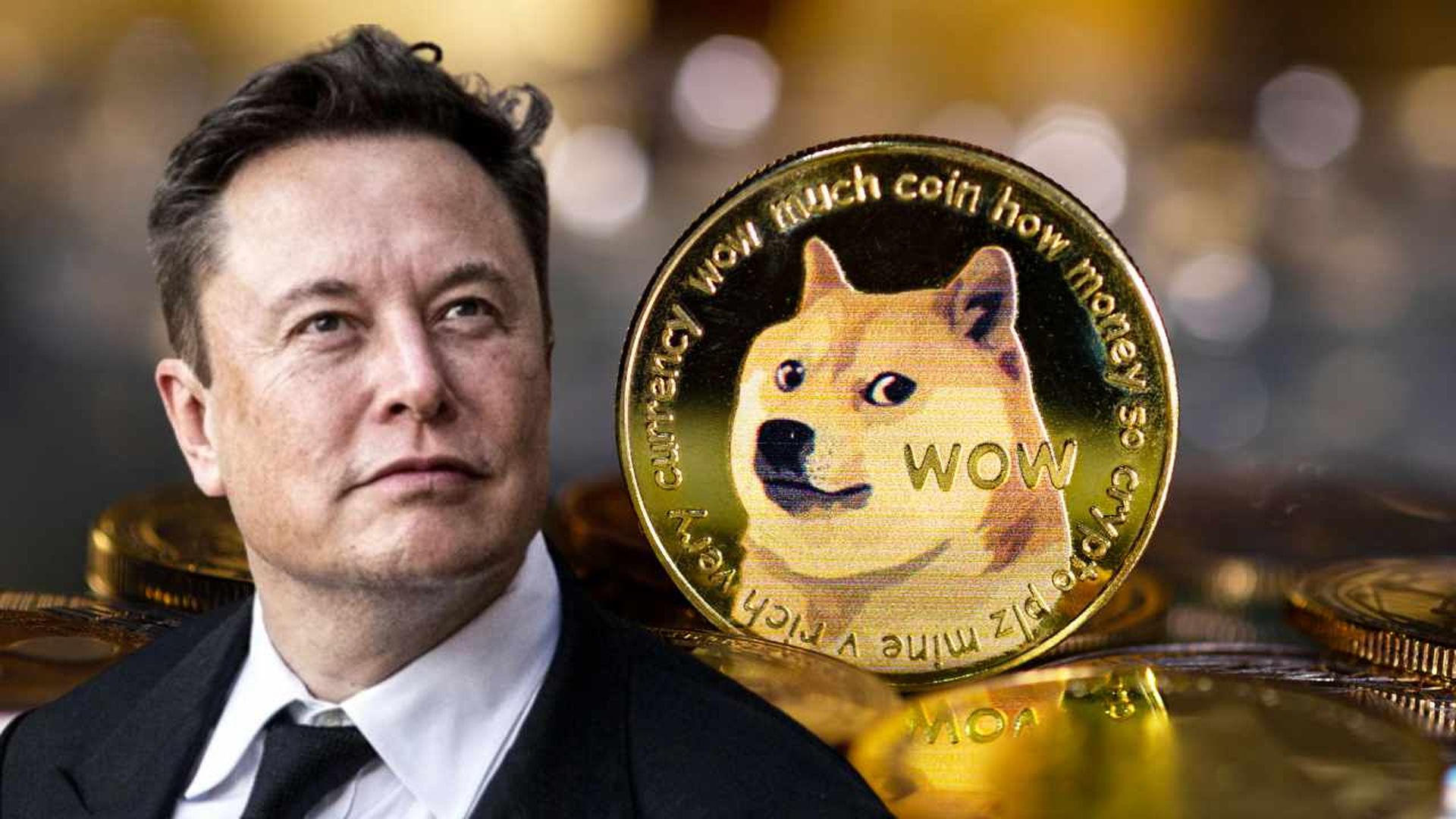 Elon Musk klagte wegen Behauptungen des Dogecoin-Pyramidensystems