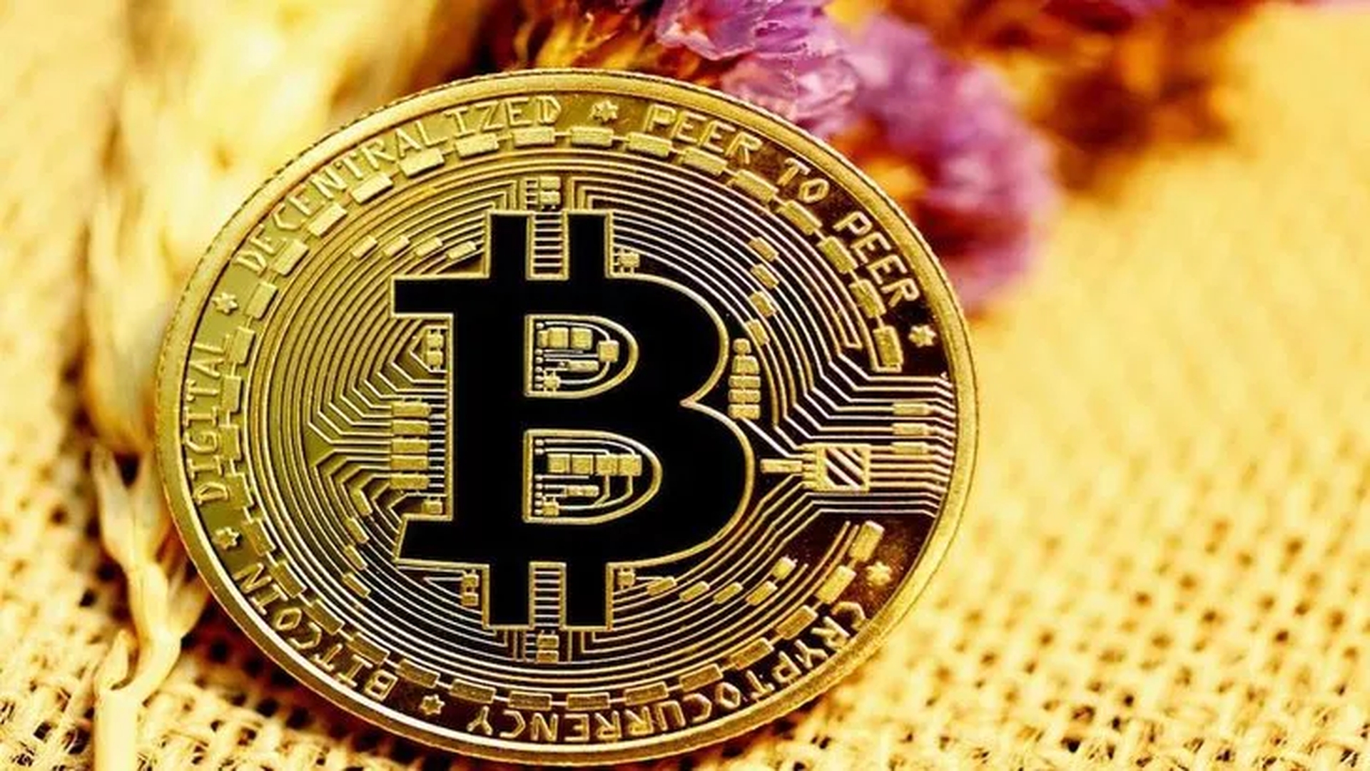 In this article, we are going to cover how to buy Bitcoin with Yandex Money, so you can utilize this service while making your next Bitcoin purchase.