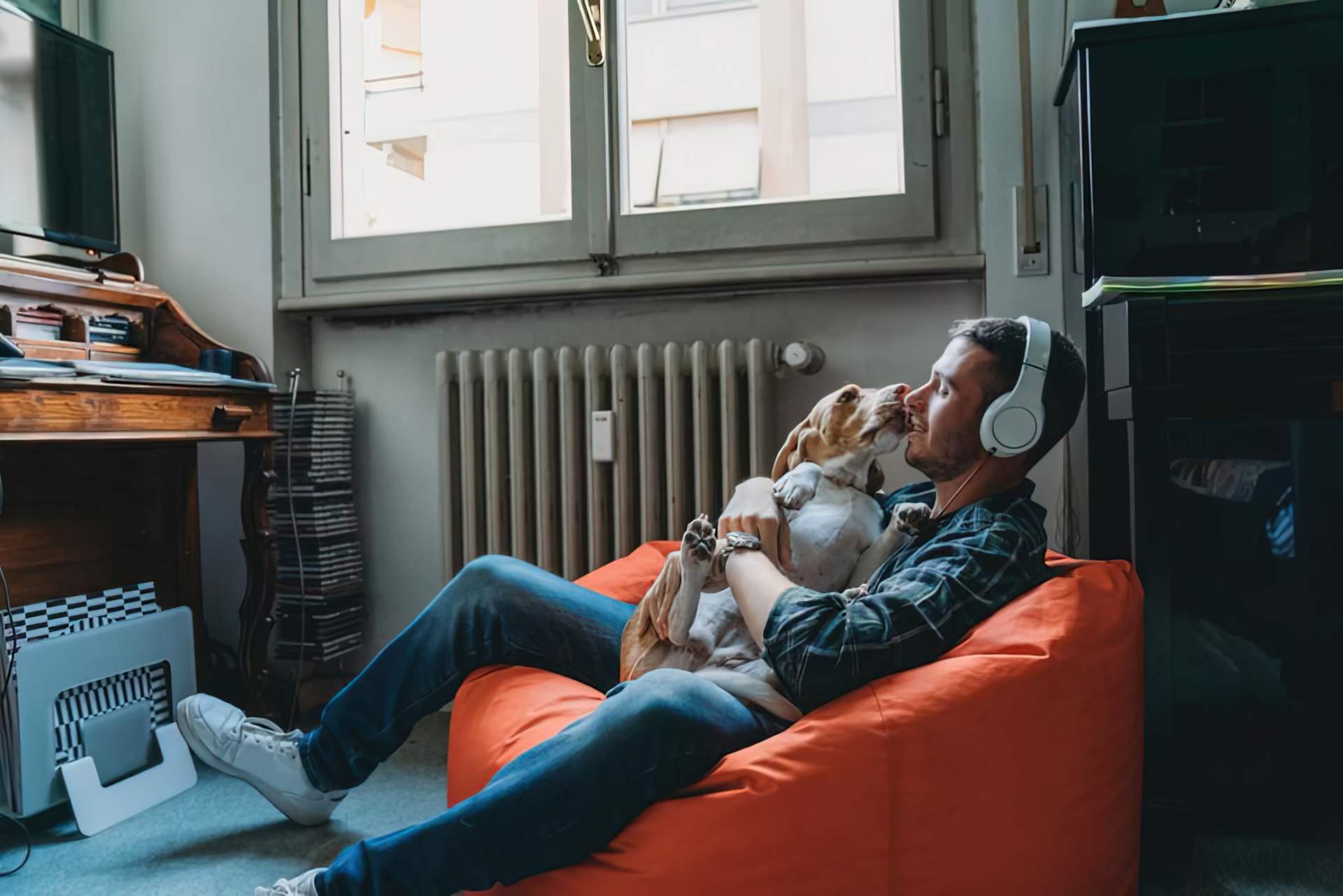 Vreugdevolle tijden voor onze dierenvrienden: wat is Spotify for Pets?