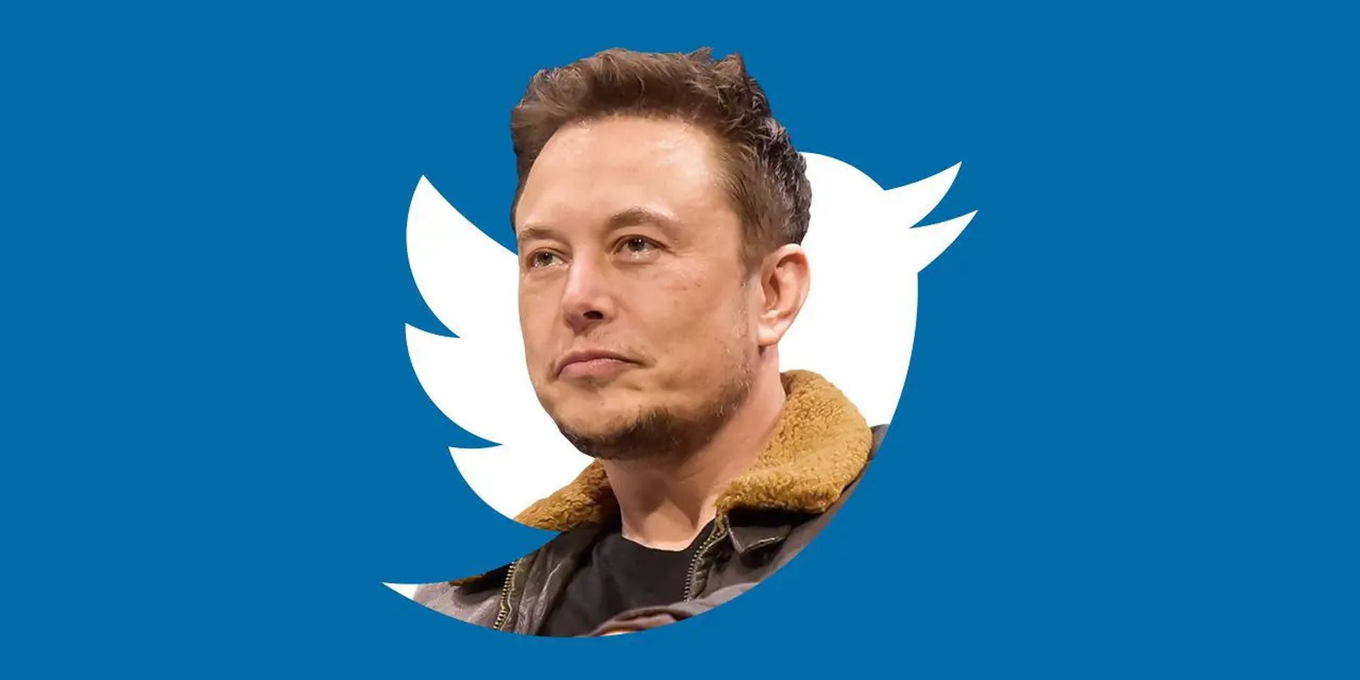 It's official, Elon Musk backs out of Twitter and he might face a lot of legal issues in the near future.