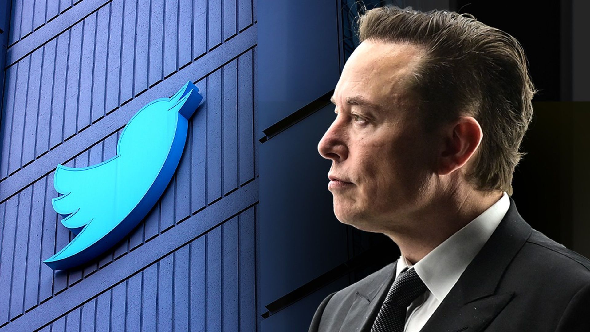 It's official, Elon Musk backs out of Twitter and he might face a lot of legal issues in the near future.