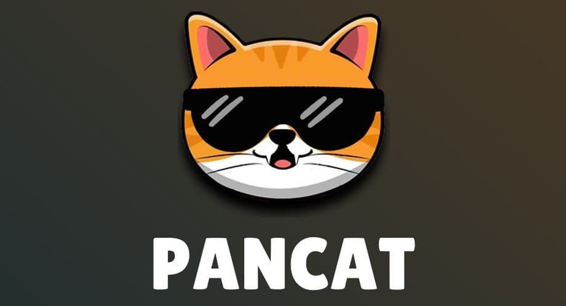 In this article, we are going to be going over how to buy Pancat cryptocurrency in 2022, and what are the details relating to this meme cryptocurrency.