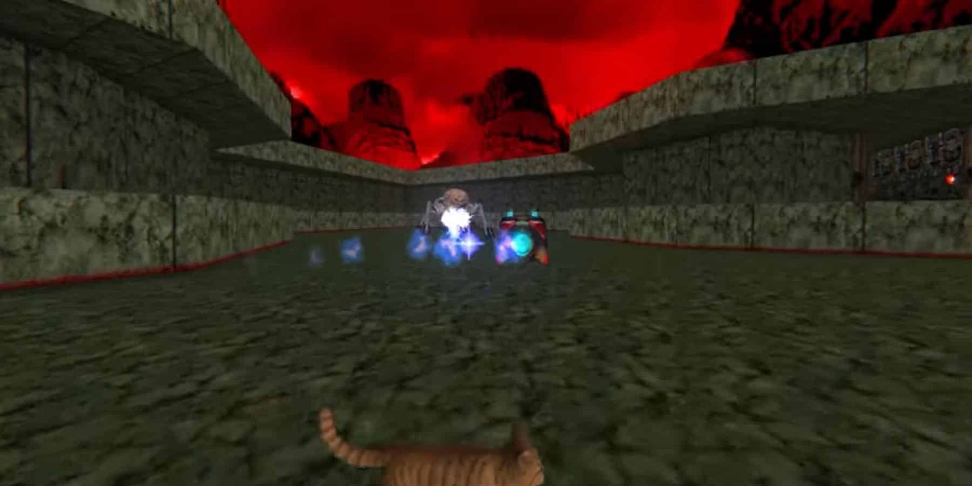 In this article, we are going to be going over the Stray Doom mod that allows players to play as a cat and destroy the legions of hell.
