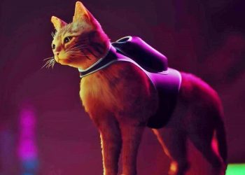 Guide: All 8 Stray music sheet locations